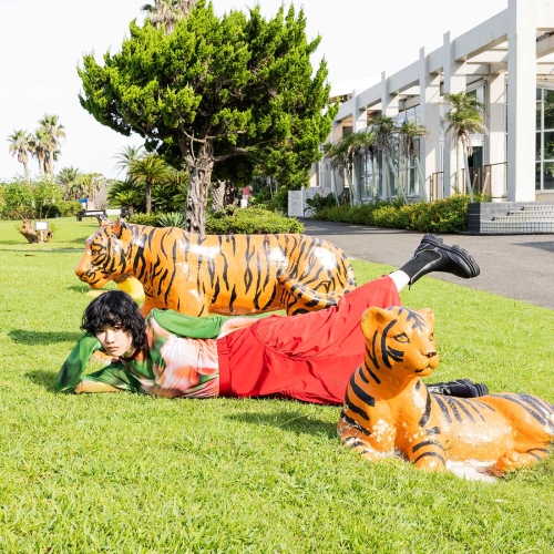 CD / あいみょん / ハート / WPCL-13339