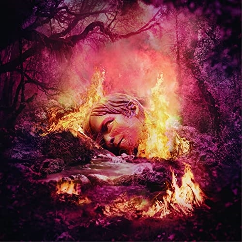 CD / ウィーザー / シーズンズ:サマー (解説歌詞対訳付) / WPCR-18539