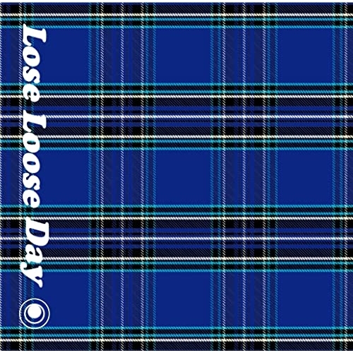CD / 美波 / LOSE LOOSE Day (通常盤 BLUE CHECK) / WPCL-13465