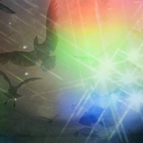 EP / CORNELIUS / 火花 (完全生産限定盤) / WPKL-10008