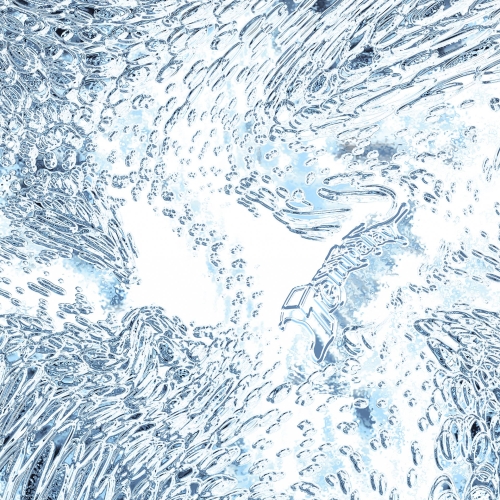 CD / Tempalay / ((ika)) (通常盤) / WPCL-13555