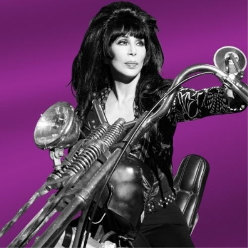 CD / シェール / フォーエヴァー~ザ・ベスト~ (解説歌詞対訳付) / WPCR-18714