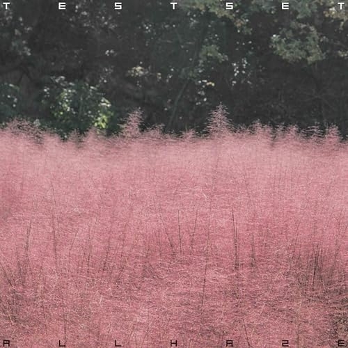 CD / TESTSET / ALL HAZE (紙ジャケット) / WPCL-13664