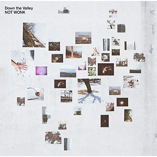 【送料無料】 CD/NOT WONK/Down the Valley (通常盤)/CTCR-14964