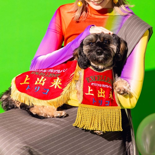 CD / tricot / 上出来 (2CD+DVD(スマプラ対応)) / CTCR-96059