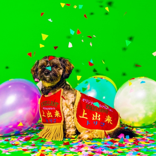 CD / tricot / 上出来 (2CD(スマプラ対応)) / CTCR-96061