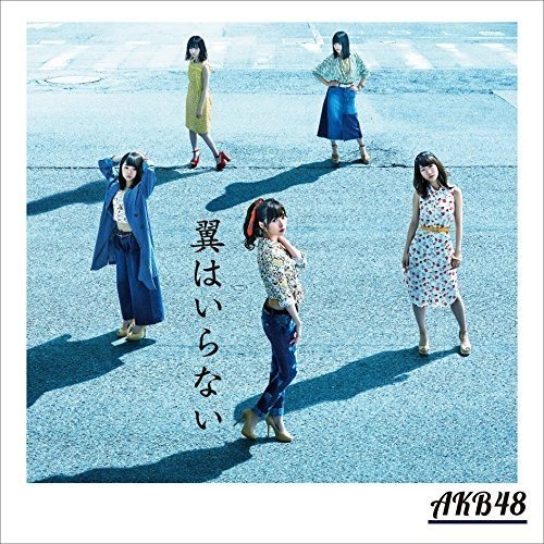 【送料無料】 CD/AKB48/翼はいらない (CD+DVD) (通常盤/Type B)/KIZM-431