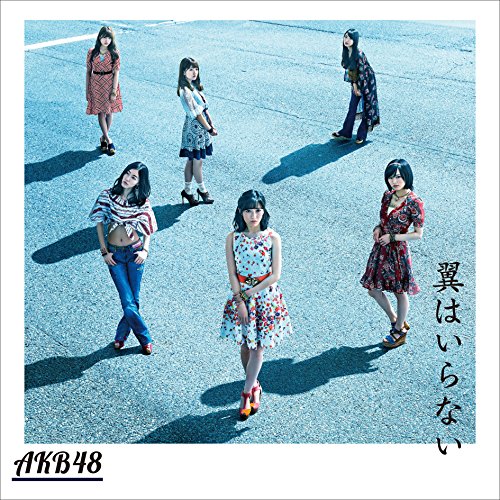 【送料無料】 CD/AKB48/翼はいらない (CD+DVD) (通常盤/Type C)/KIZM-433