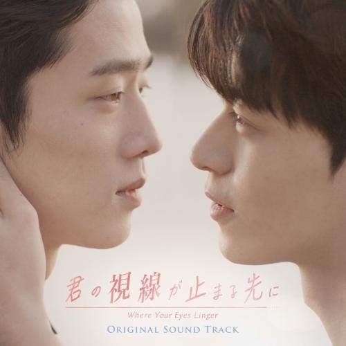 【送料無料】 CD/オリジナル・サウンドトラック/君の視線が止まる先に オリジナル・サウンドトラック (CD+DVD) (ハングル(フリガナ)歌詞、日本語対訳付)/KIZC-578