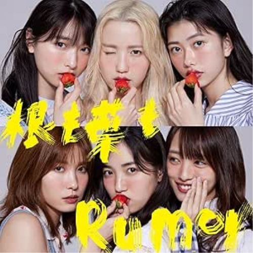 【送料無料】 CD/AKB48/根も葉もRumor (CD+DVD) (初回限定盤/Type B)/KIZM-90699