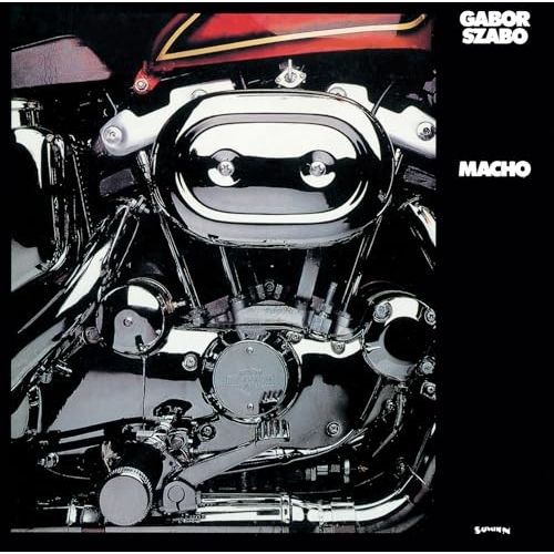 CD / ガボール・ザボ / マチョ-ハンガリアン・ラプソディ- (ライナーノーツ) / KICJ-2687