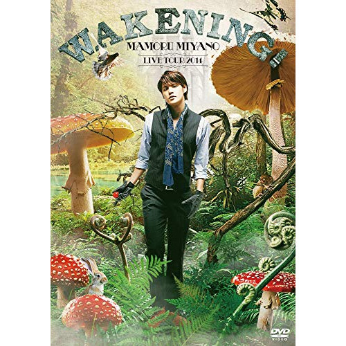 DVD / 宮野真守 / MAMORU MIYANO LIVE TOUR 2014 ～WAKENING!～ / KIBM-481