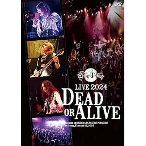 DVD / Mardelas / Live 2024 -Dead or Alive- (数量限定版) / KIBM-91108
