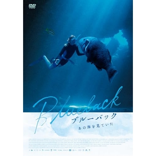 DVD / 洋画 / ブルーバック あの海を見ていた / KIBF-3238