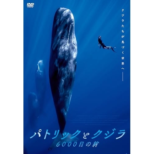 【送料無料】 DVD/洋画/パトリックとクジラ 6000日の絆/KIBF-2990