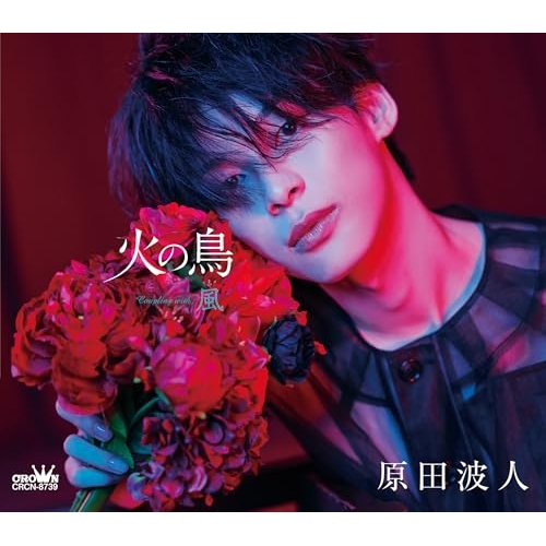 CD / 原田波人 / 火の鳥 C/W 風 (メロ譜付) (タイプB) / CRCN-8739