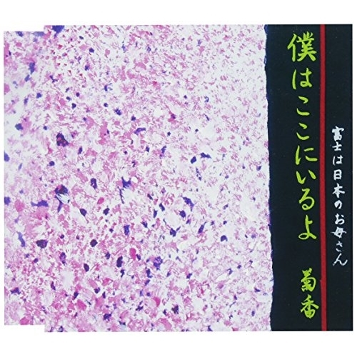 【送料無料】 CD/佐藤菊香/僕はここにいるよ/富士は日本のお母さん (歌詞付)/TKCY-99276