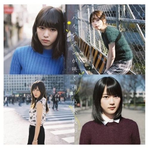 【送料無料】 CD/乃木坂46/ハルジオンが咲く頃 (CD+DVD) (Type-B)/SRCL-9027