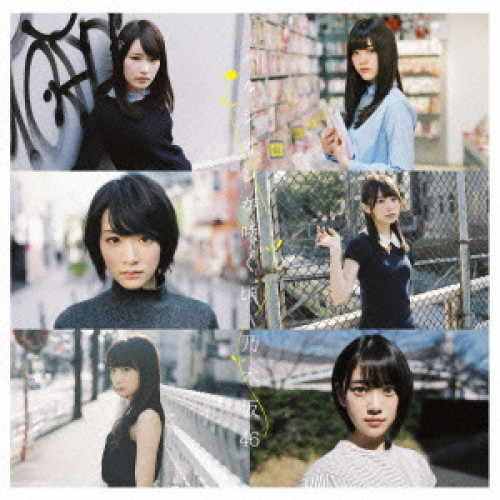 【送料無料】 CD/乃木坂46/ハルジオンが咲く頃 (CD+DVD) (Type-C)/SRCL-9029