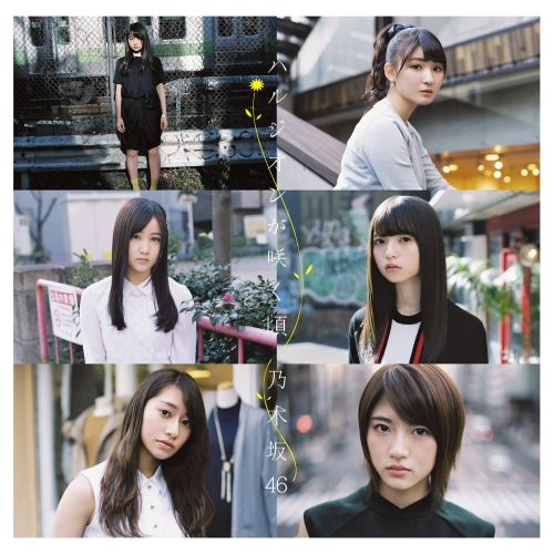 【送料無料】 CD/乃木坂46/ハルジオンが咲く頃 (CD+DVD) (Type-D)/SRCL-9032