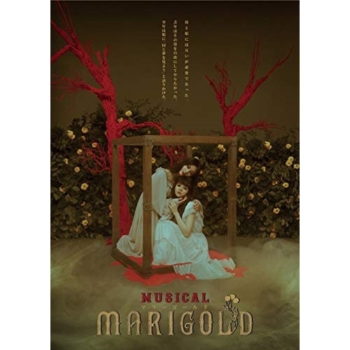 【送料無料】 DVD/趣味教養/ミュージカル『マリーゴールド』/PCBP-53909