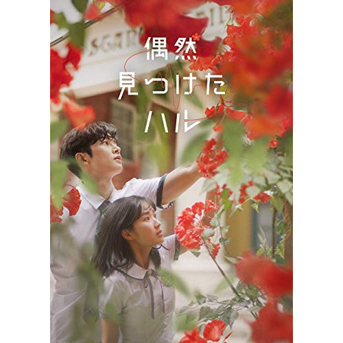 DVD / 海外TVドラマ / 偶然見つけたハル DVD-BOX1 / PCBP-62328