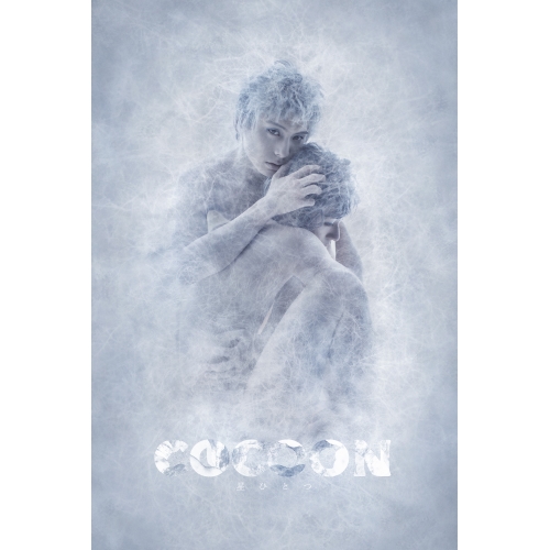 【送料無料】 DVD/趣味教養/COCOON 星ひとつ/PCBP-54021