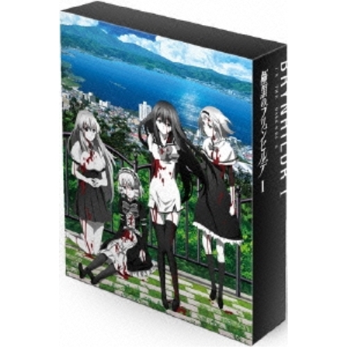 DVD / TVアニメ / 極黒のブリュンヒルデ DVD-BOX I (2DVD+CD) / VPBY-10993