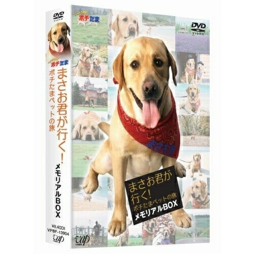 DVD / 趣味教養 / まさお君が行く!ポチたまペットの旅 メモリアルBOX / VPBF-13904