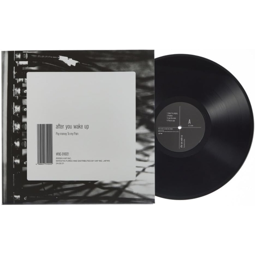 LP(30cm) / Pay money To my Pain / after you wake up (重量盤) (完全生産限定盤) / VPJC-31022
