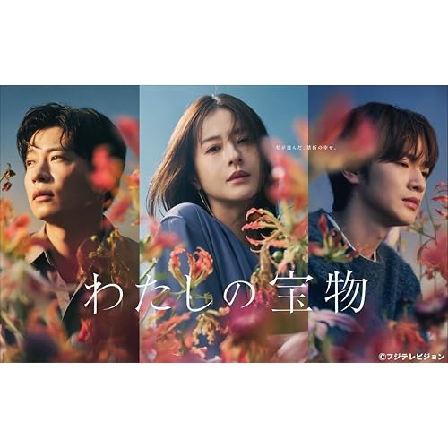 BD / 国内TVドラマ / わたしの宝物 Blu-ray BOX(Blu-ray) (本編ディスク3枚+特典ディスク1枚) / VPXX-75203