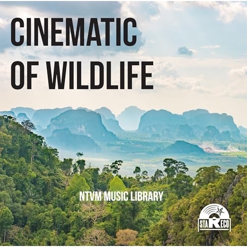 【送料無料】 CD/BGV/NTVM Music Library CINEMATIC OF WILDLIFE/VPCD-87201