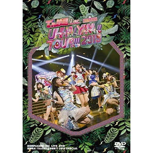 【送料無料】 DVD/でんぱ組.inc/UHHA! YAAA!! TOUR!!! 2019 SPECIAL (通常盤)/TFBQ-18217