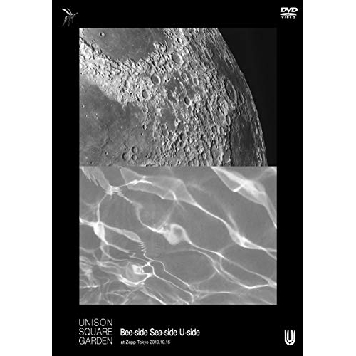 【送料無料】 DVD/UNISON SQUARE GARDEN/UNISON SQUARE GARDEN Bee-side Sea-side U-side at Zepp Tokyo 2019....