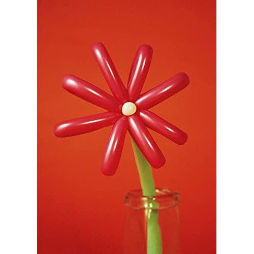 DVD / マカロニえんぴつ / MACAROCK'N LIVE-1 / TFBQ-18256