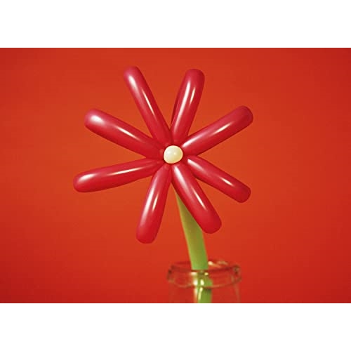 BD / マカロニえんぴつ / MACAROCK'N LIVE-1(Blu-ray) / TFXQ-78216