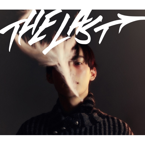 CD / TAICHI MUKAI / THE LAST (初回生産限定盤) / TFCC-81043