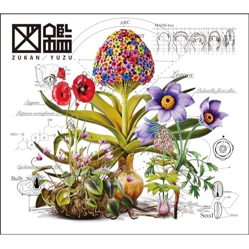 CD / ゆず / 図鑑 (CD+DVD) (初回生産限定盤) / TFCC-81089