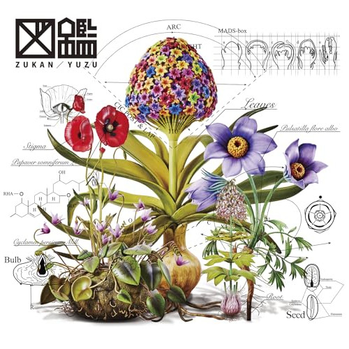 CD / ゆず / 図鑑 (通常盤) / TFCC-81091