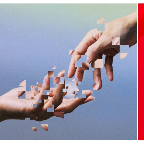 CD / オムニバス / Salyu 20th Anniversary Tribute Album grafting (通常盤) / TFCC-81115