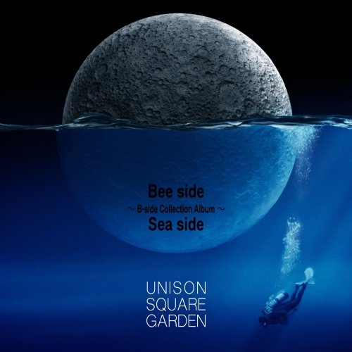 CD / UNISON SQUARE GARDEN / Bee side Sea side ～B-side Collection Album～ (通常盤) / TFCC-86672