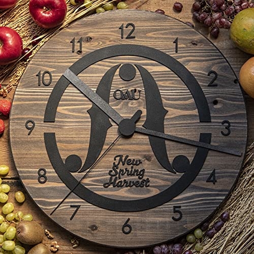 CD / OAU / New Spring Harvest (CD+DVD) (紙ジャケット) / TFCC-86825