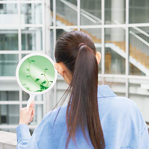 CD / ビッケブランカ / ポニーテイル (CD+DVD(スマプラ対応)) / AVCD-61041