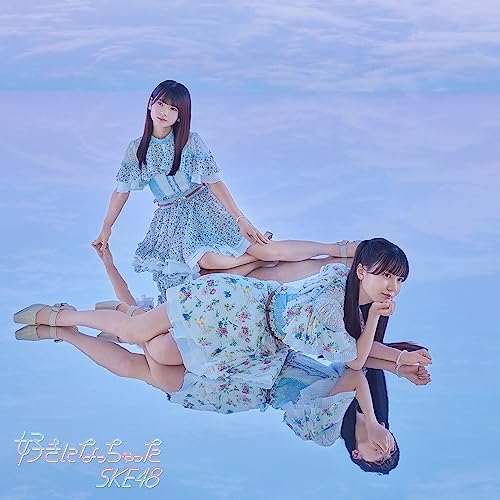 CD / SKE48 / 好きになっちゃった (CD+DVD) (初回生産限定盤/Type-B) / AVCD-61322