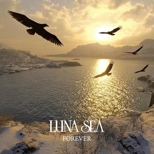 【送料無料】 CD/LUNA SEA/FOREVER/AVCD-61715