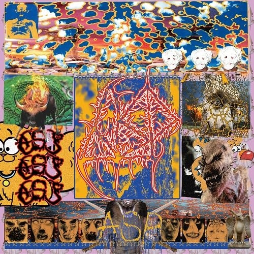 CD / ASP / Terminal disease of ASP (CD(スマプラ対応)) (通常盤) / AVCD-63607