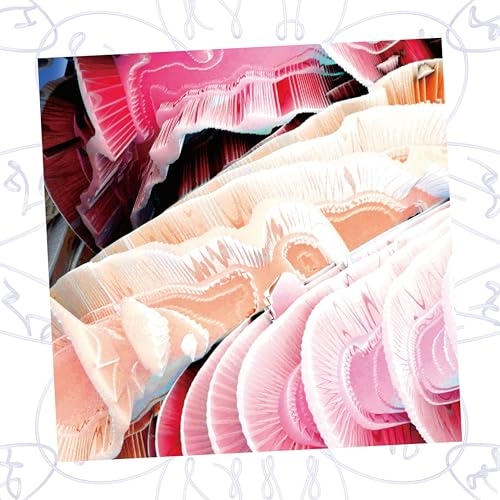 CD / NAQT VANE / NV (初回生産限定盤) / AVCD-63694