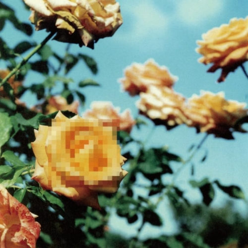 LP(30cm) / globe / Relation / AVJG-70140