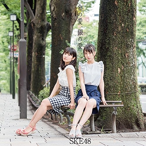 【送料無料】 CD/SKE48/金の愛、銀の愛 (CD+DVD) (通常盤/TYPE-C)/AVCD-83600