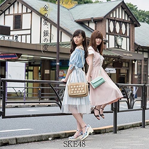 【送料無料】 CD/SKE48/金の愛、銀の愛 (CD+DVD) (通常盤/TYPE-D)/AVCD-83601